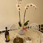 度假居 Spot Do Vale *