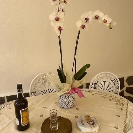 Vakantiehuis Spot Do Vale *