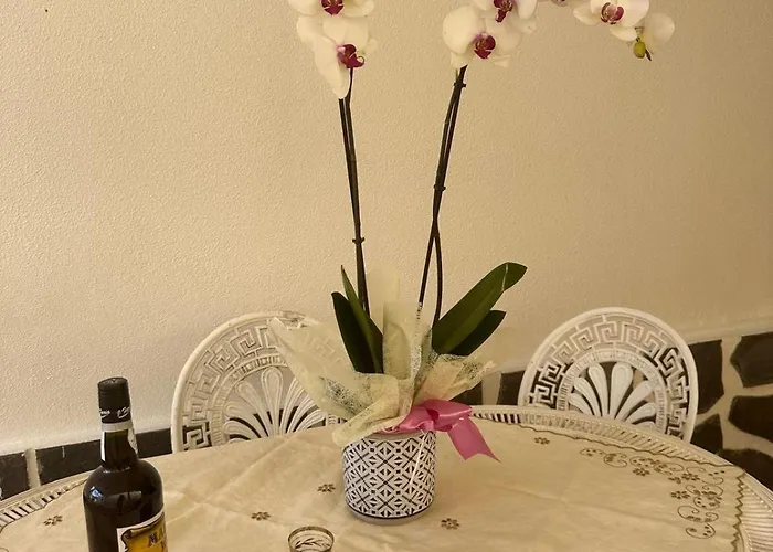 Casa vacanze Spot Do Vale *