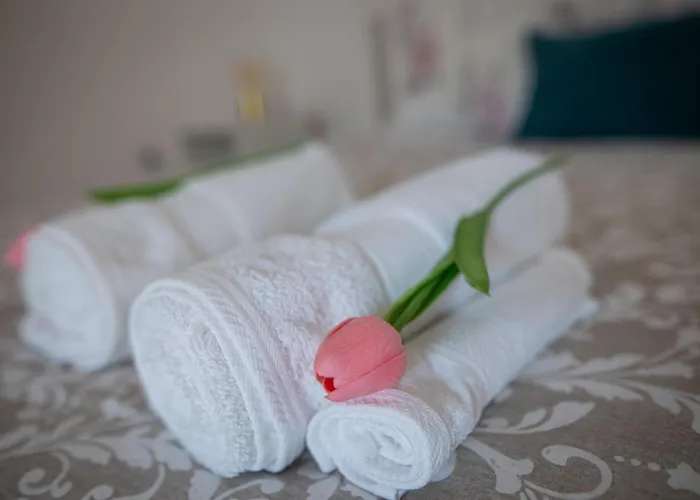 Spot Do Vale Machico (Madeira)